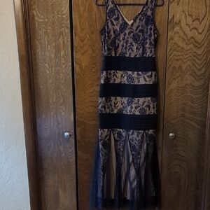 Elegant Blue and Cream Lace Dress